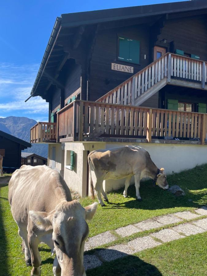 Eliane Lägenhet Bettmeralp Exteriör bild
